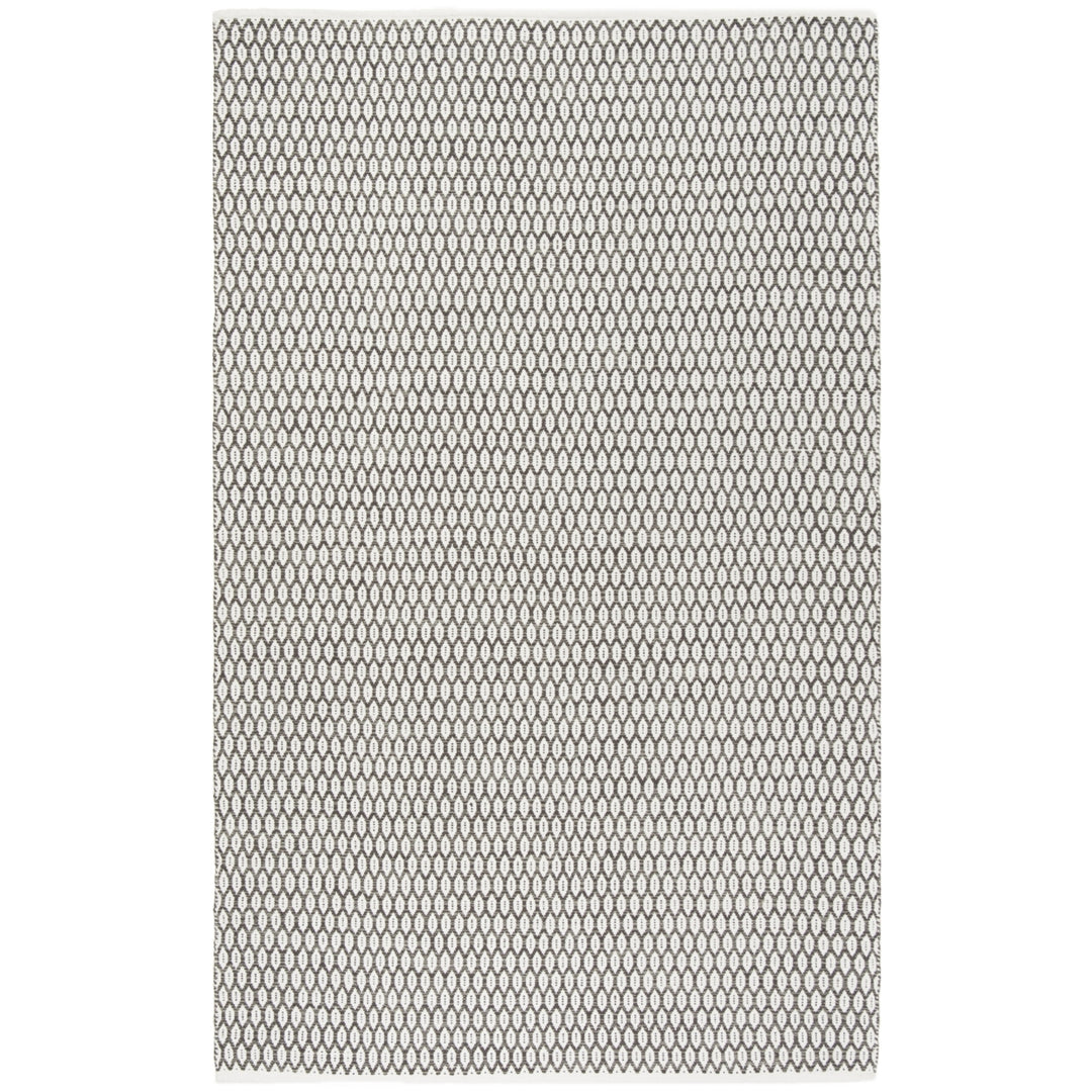 SAFAVIEH Montauk MTK608J Handwoven Charcoal / Ivory Rug Image 1