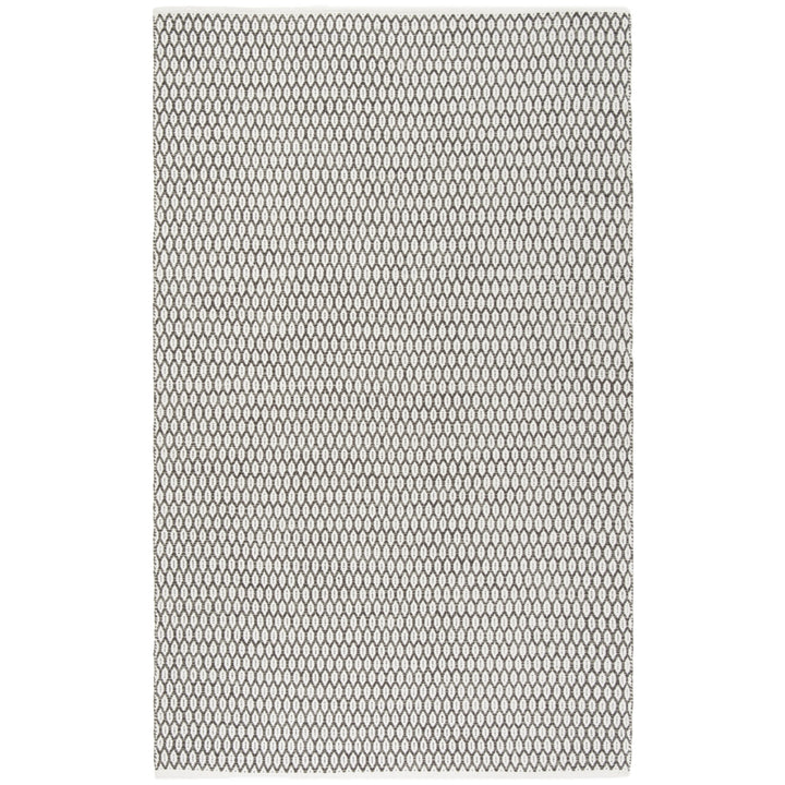 SAFAVIEH Montauk MTK608J Handwoven Charcoal / Ivory Rug Image 1