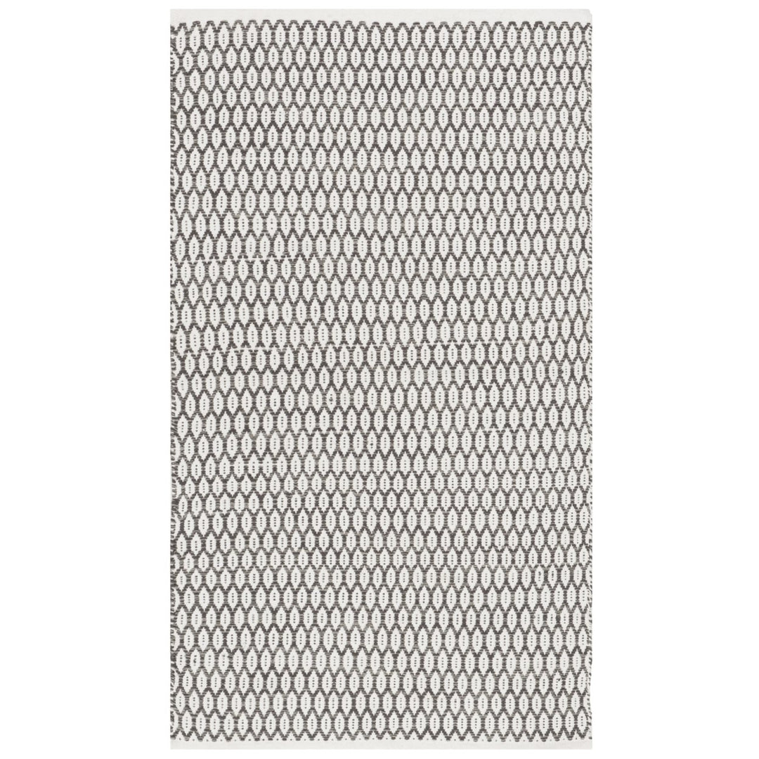 SAFAVIEH Montauk MTK608J Handwoven Charcoal / Ivory Rug Image 6