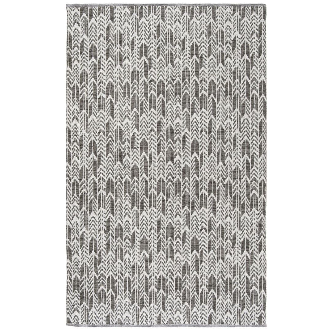 SAFAVIEH Montauk MTK609J Handwoven Charcoal / Ivory Rug Image 1