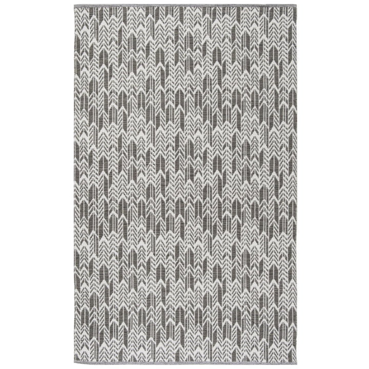 SAFAVIEH Montauk MTK609J Handwoven Charcoal / Ivory Rug Image 1