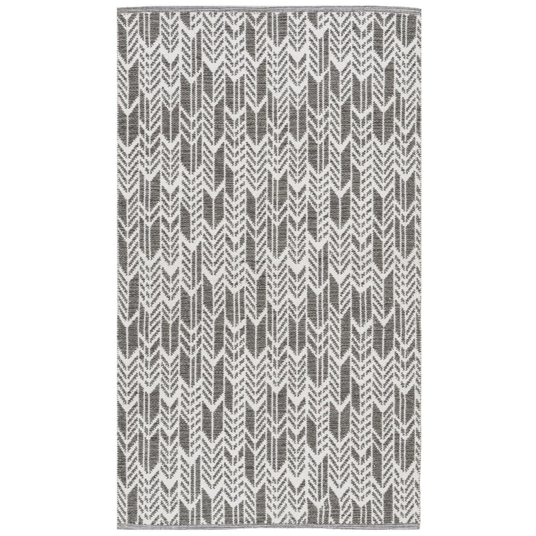 SAFAVIEH Montauk MTK609J Handwoven Charcoal / Ivory Rug Image 1