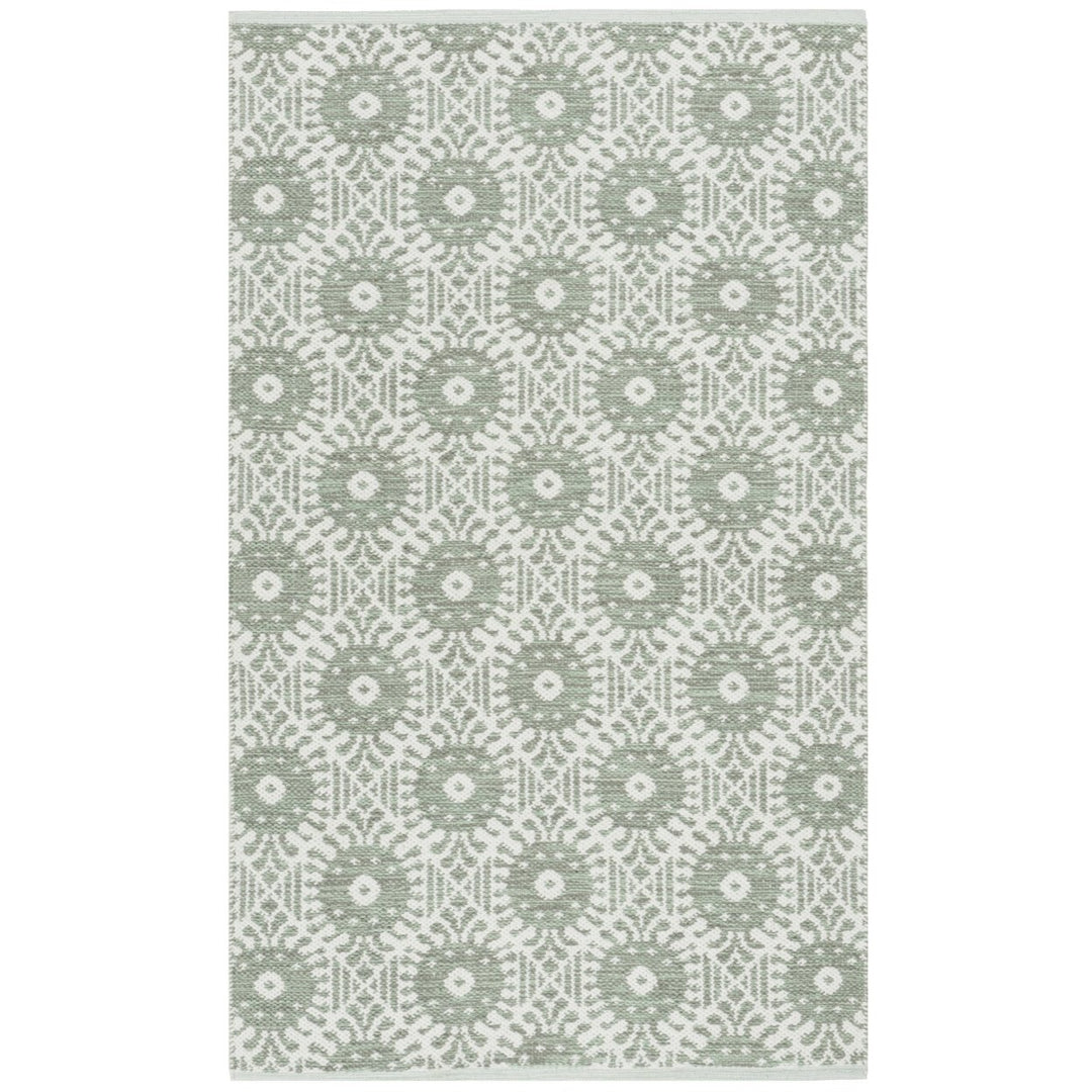 SAFAVIEH Montauk MTK612G Light Green / Ivory Rug Image 1