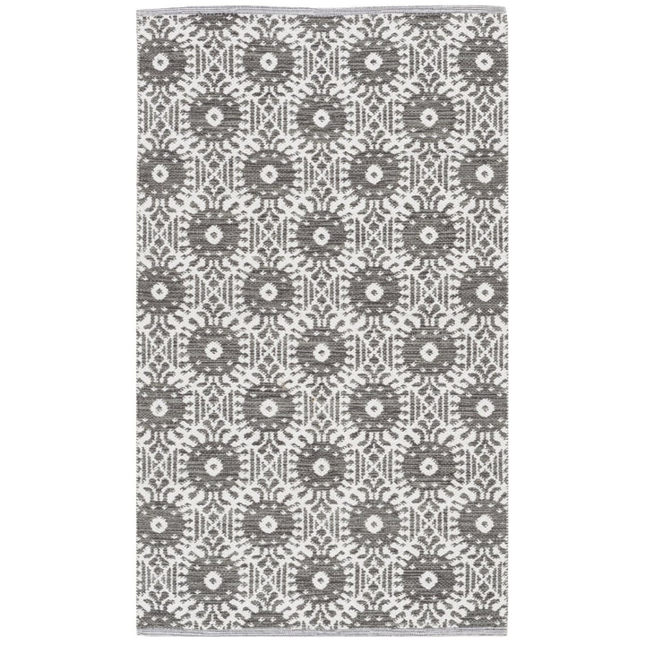 SAFAVIEH Montauk MTK612J Handwoven Charcoal / Ivory Rug Image 1