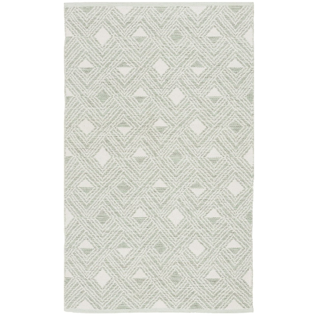 SAFAVIEH Montauk MTK614G Light Green / Ivory Rug Image 1