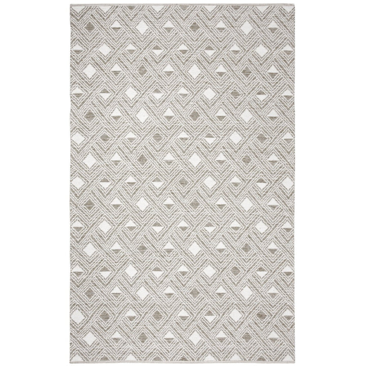 SAFAVIEH Montauk MTK614J Handwoven Charcoal / Ivory Rug Image 1