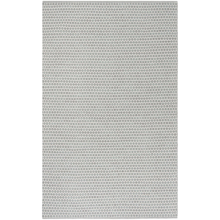 SAFAVIEH Montauk MTK616M Handwoven Slate / Ivory Rug Image 1