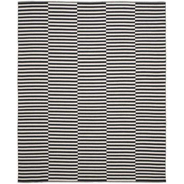 SAFAVIEH Montauk MTK715D Handwoven Ivory / Black Rug Image 1