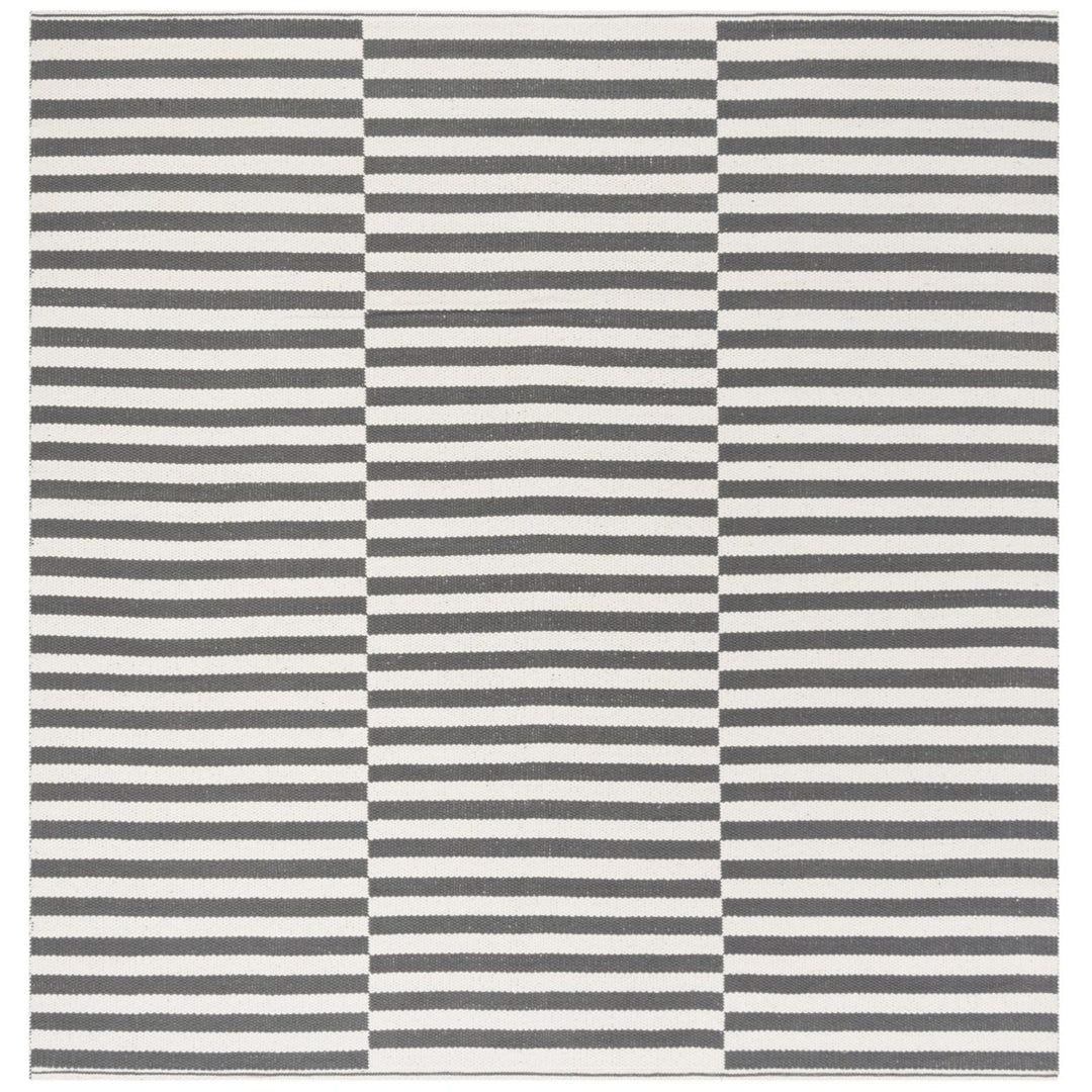 SAFAVIEH Montauk MTK715A Handwoven Ivory / Grey Rug Image 1