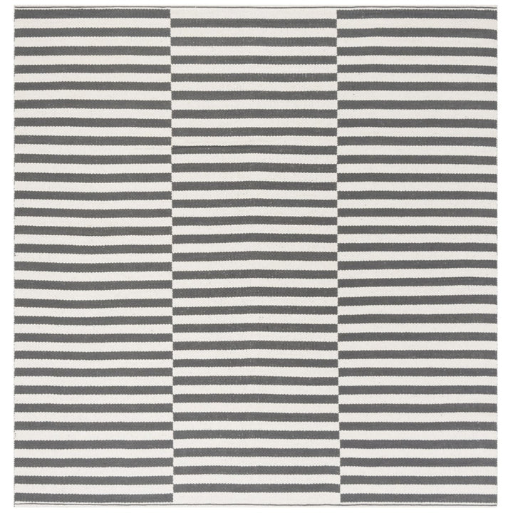 SAFAVIEH Montauk MTK715A Handwoven Ivory / Grey Rug Image 1