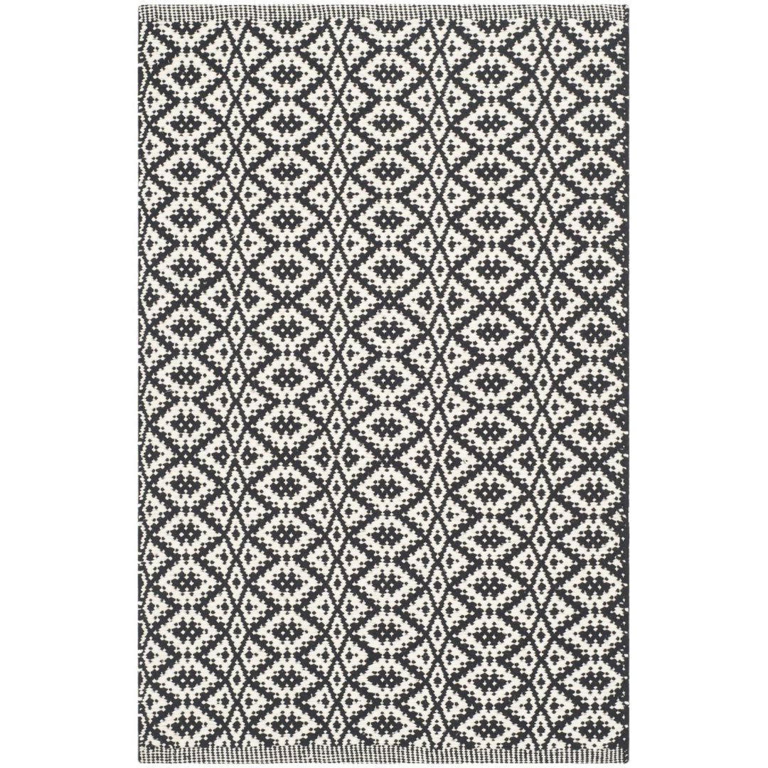 SAFAVIEH Montauk MTK716D Handwoven Ivory / Black Rug Image 1