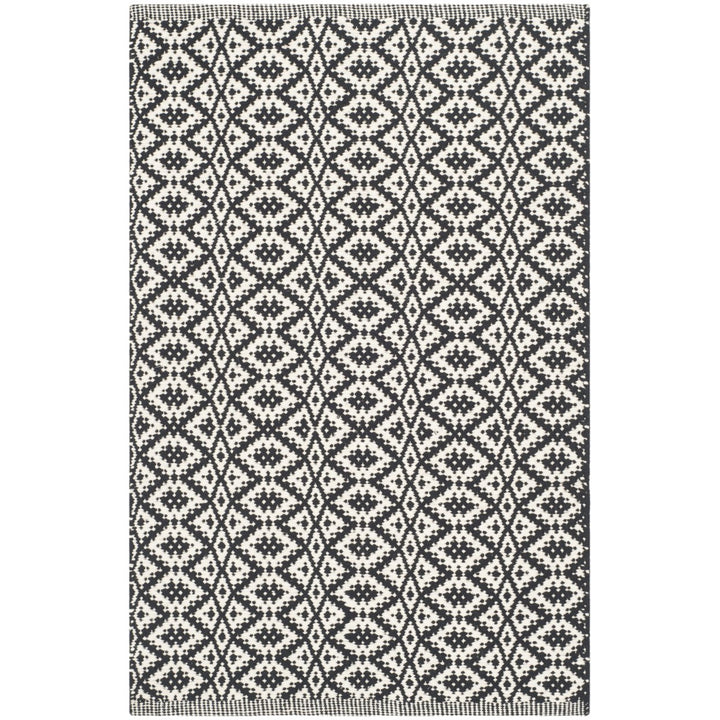 SAFAVIEH Montauk MTK716D Handwoven Ivory / Black Rug Image 1