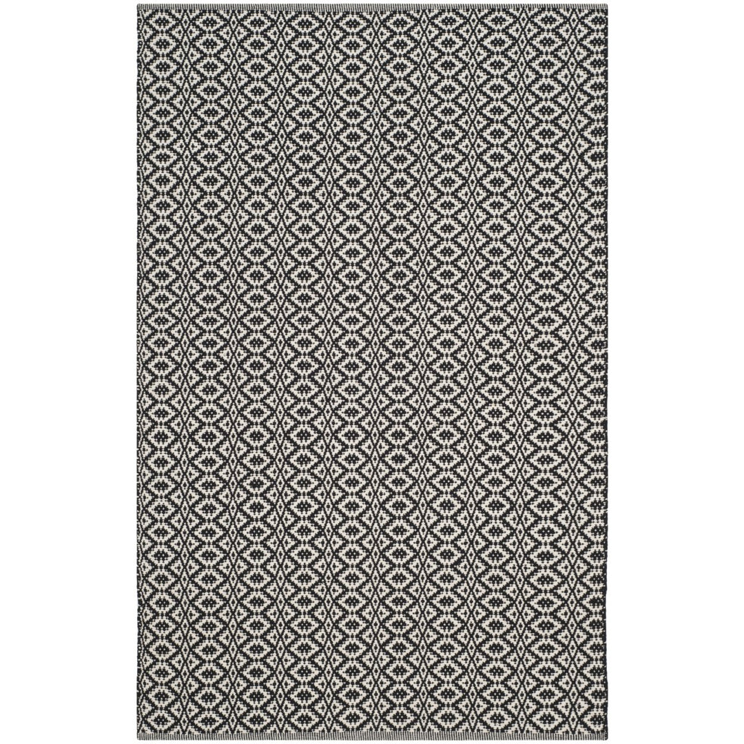 SAFAVIEH Montauk MTK716D Handwoven Ivory / Black Rug Image 1