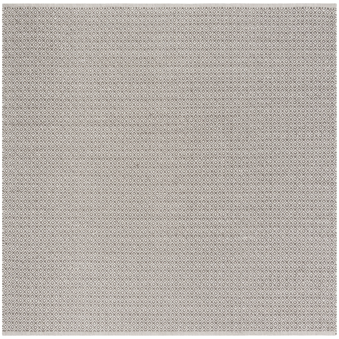 SAFAVIEH Montauk MTK717A Handwoven Ivory / Grey Rug Image 6