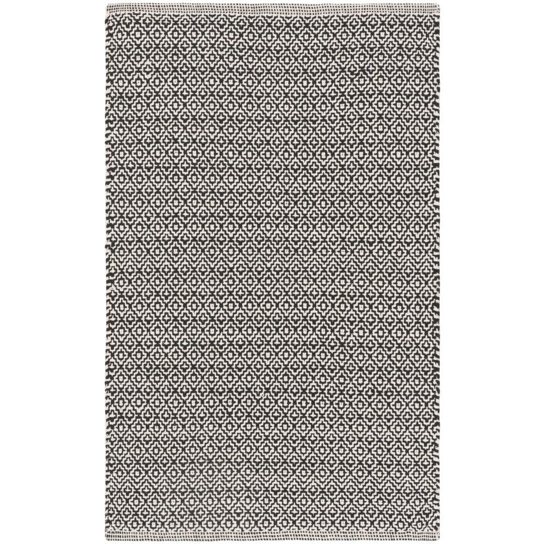 SAFAVIEH Montauk MTK717D Handwoven Ivory / Black Rug Image 1