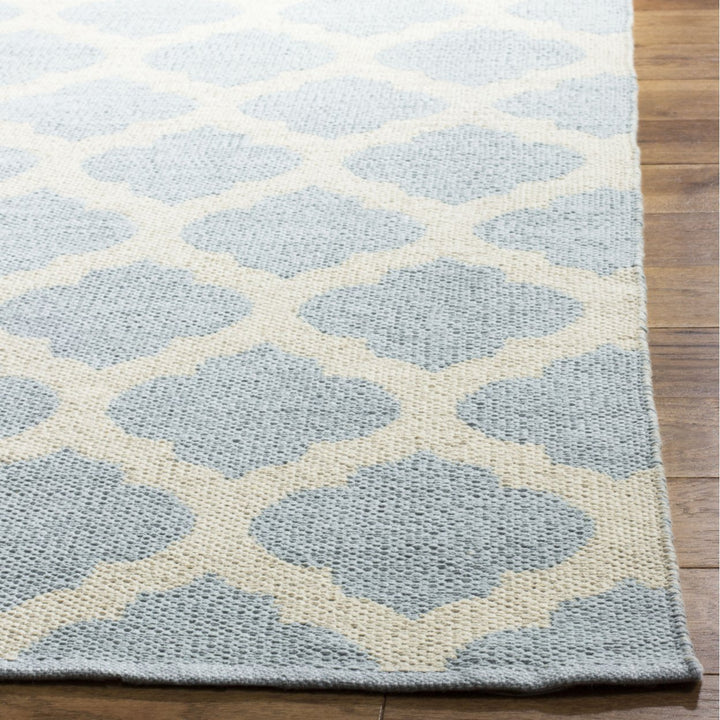 SAFAVIEH Montauk MTK723K Handwoven Light Blue /Ivory Rug Image 7