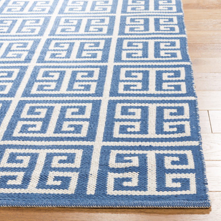 SAFAVIEH Montauk MTK724C Handwoven Blue / Ivory Rug Image 5