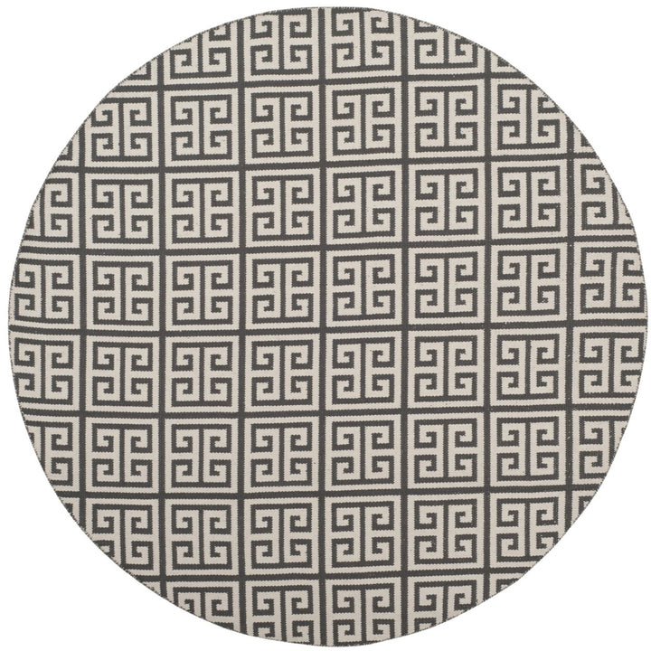 SAFAVIEH Montauk MTK724E Handwoven Dark Grey / Ivory Rug Image 1