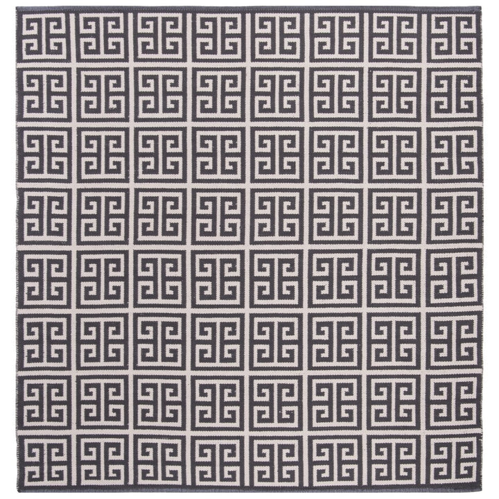 SAFAVIEH Montauk MTK724E Handwoven Dark Grey / Ivory Rug Image 6