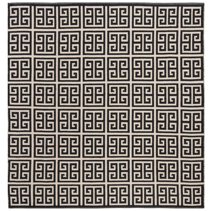 SAFAVIEH Montauk MTK724D Handwoven Black / Ivory Rug Image 1