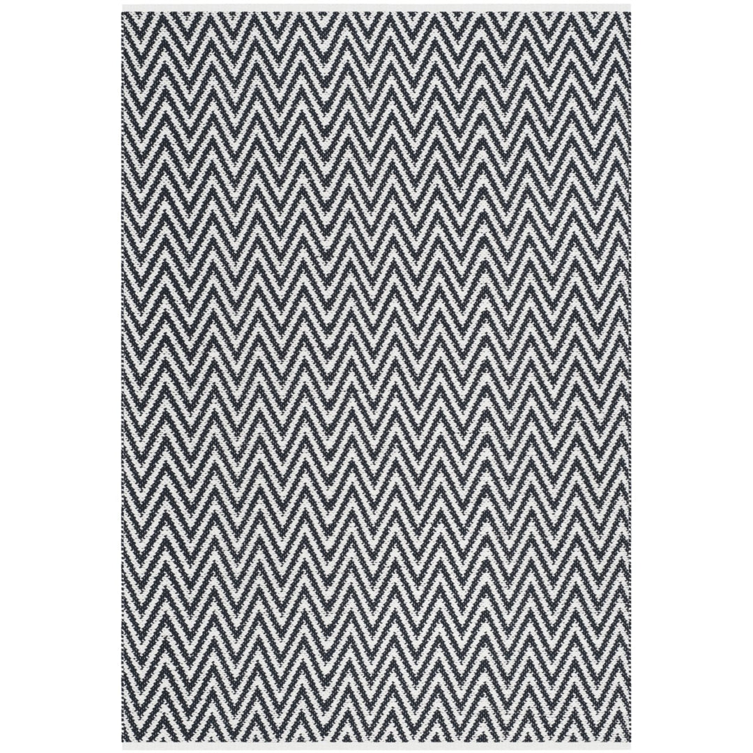 SAFAVIEH Montauk MTK812D Handwoven Black / Ivory Rug Image 1