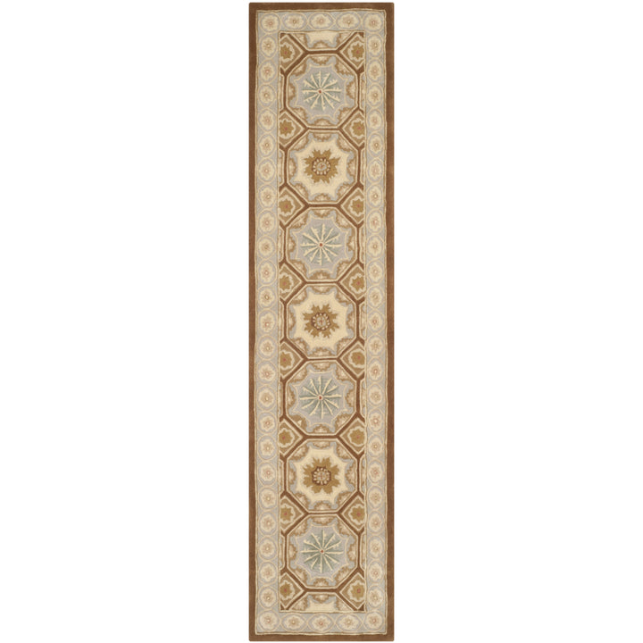 SAFAVIEH Naples NA513A Handmade Ivory / Brown Rug Image 4