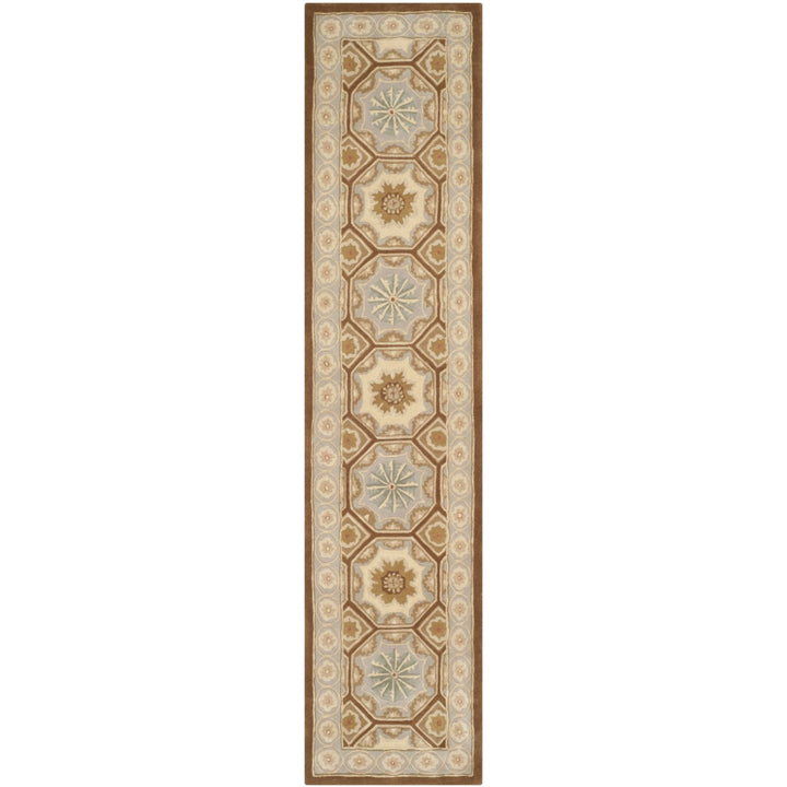 SAFAVIEH Naples NA513A Handmade Ivory / Brown Rug Image 1