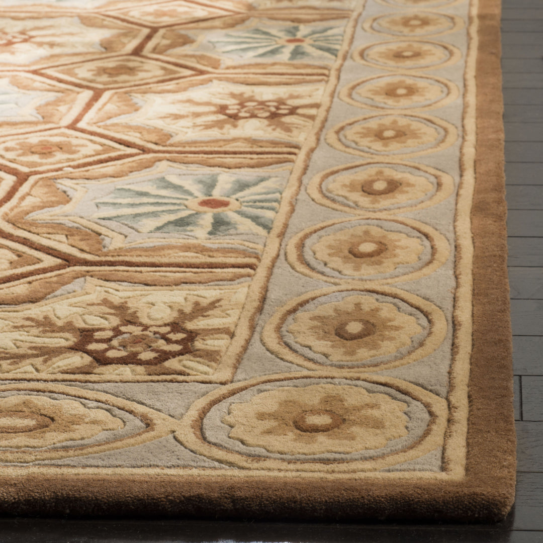 SAFAVIEH Naples NA513A Handmade Ivory / Brown Rug Image 5