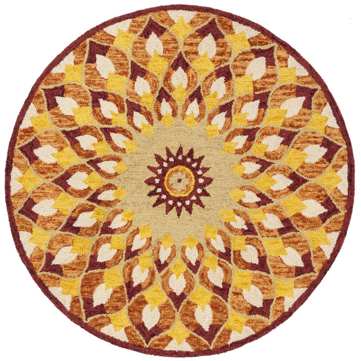 SAFAVIEH Novelty NOV603P Handmade Rust / Gold Rug Image 5