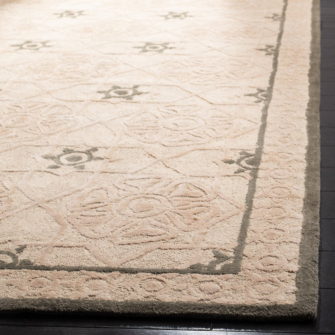 SAFAVIEH Newport NPT423A Hand-hooked Creme / Ivory Rug Image 4