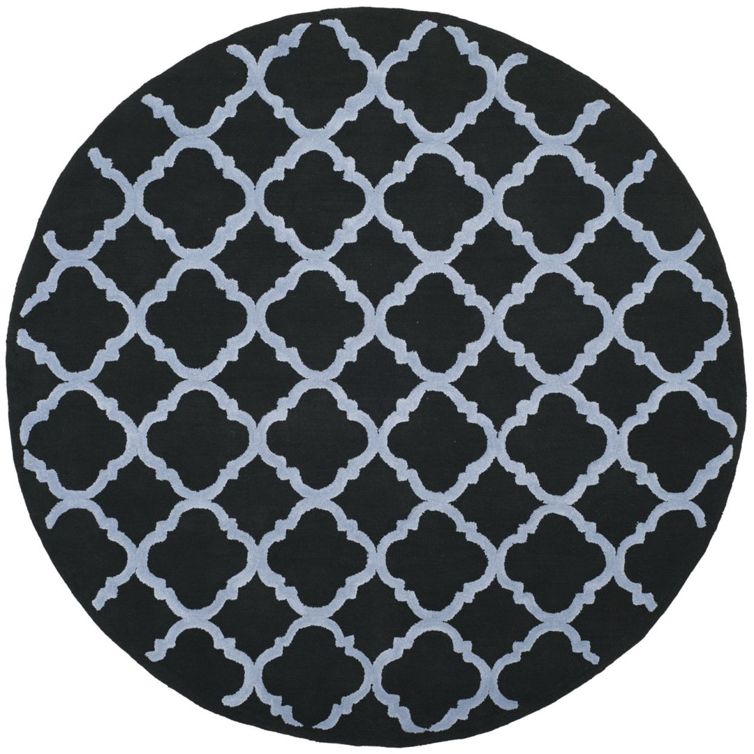 SAFAVIEH Newport NPT430B Hand-hooked Black / Blue Rug Image 1