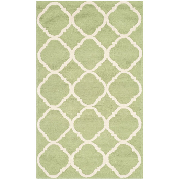 SAFAVIEH Newport NPT430C Hand-hooked Green / Ivory Rug Image 7