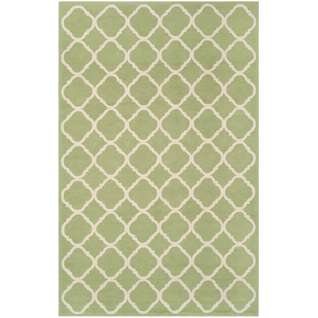 SAFAVIEH Newport NPT430C Hand-hooked Green / Ivory Rug Image 9