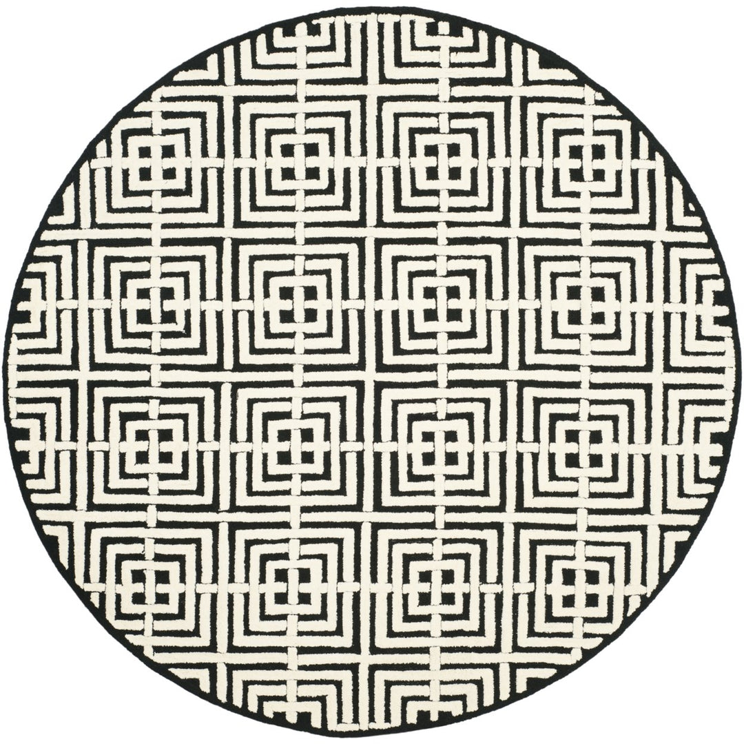 SAFAVIEH Newport NPT436B Hand-hooked Black / White Rug Image 4