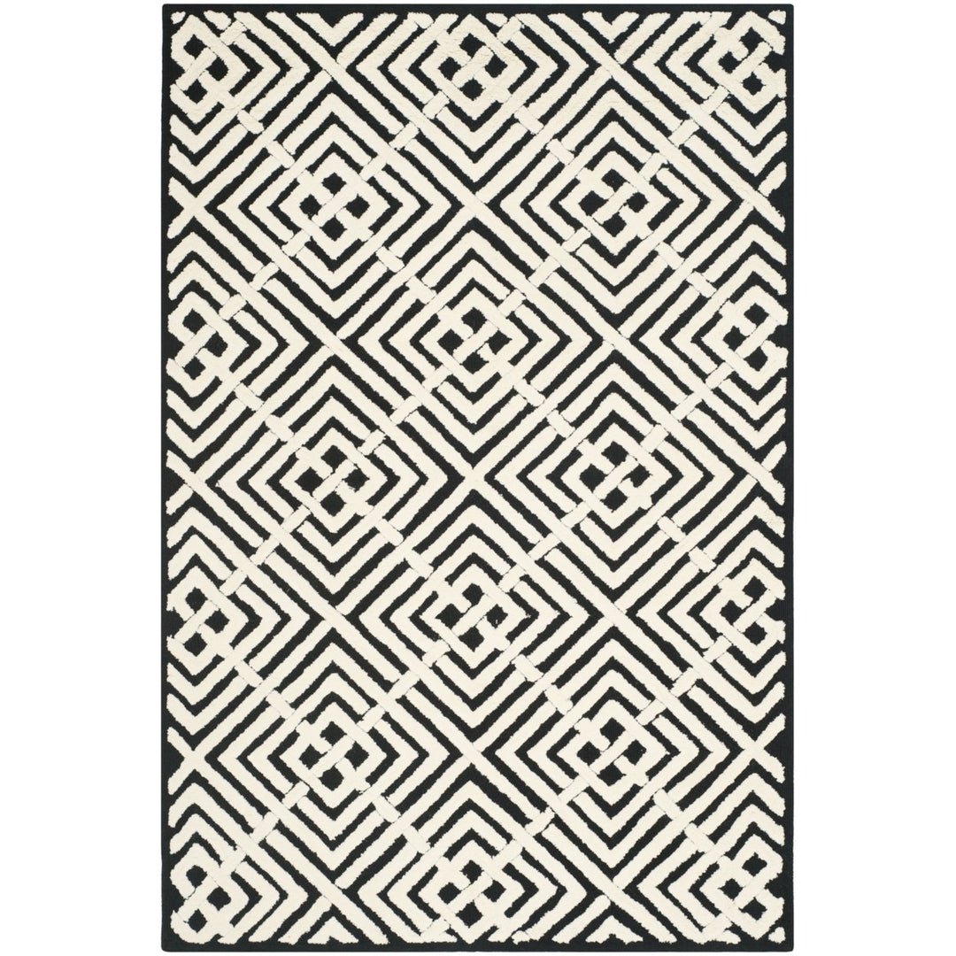 SAFAVIEH Newport NPT436B Hand-hooked Black / White Rug Image 8