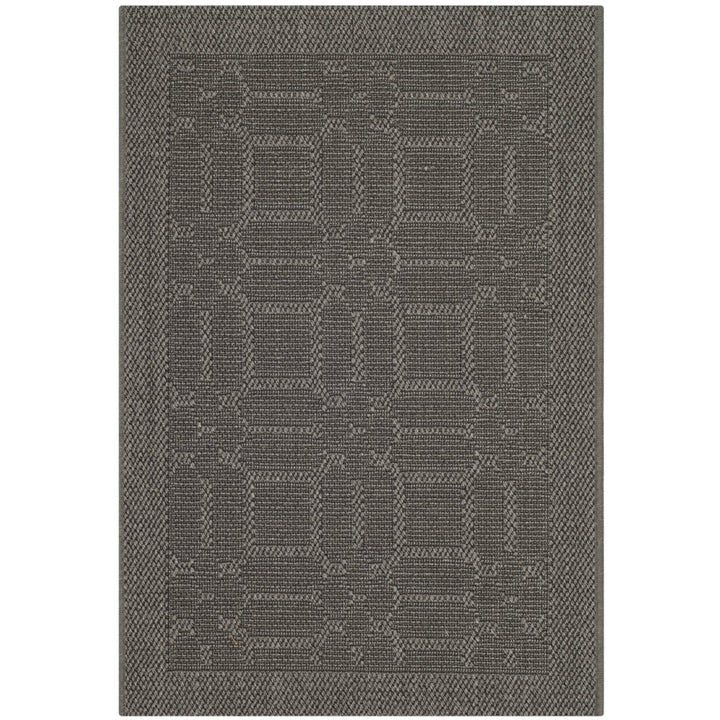 SAFAVIEH Palm Beach Collection PAB323E Ash Rug Image 1