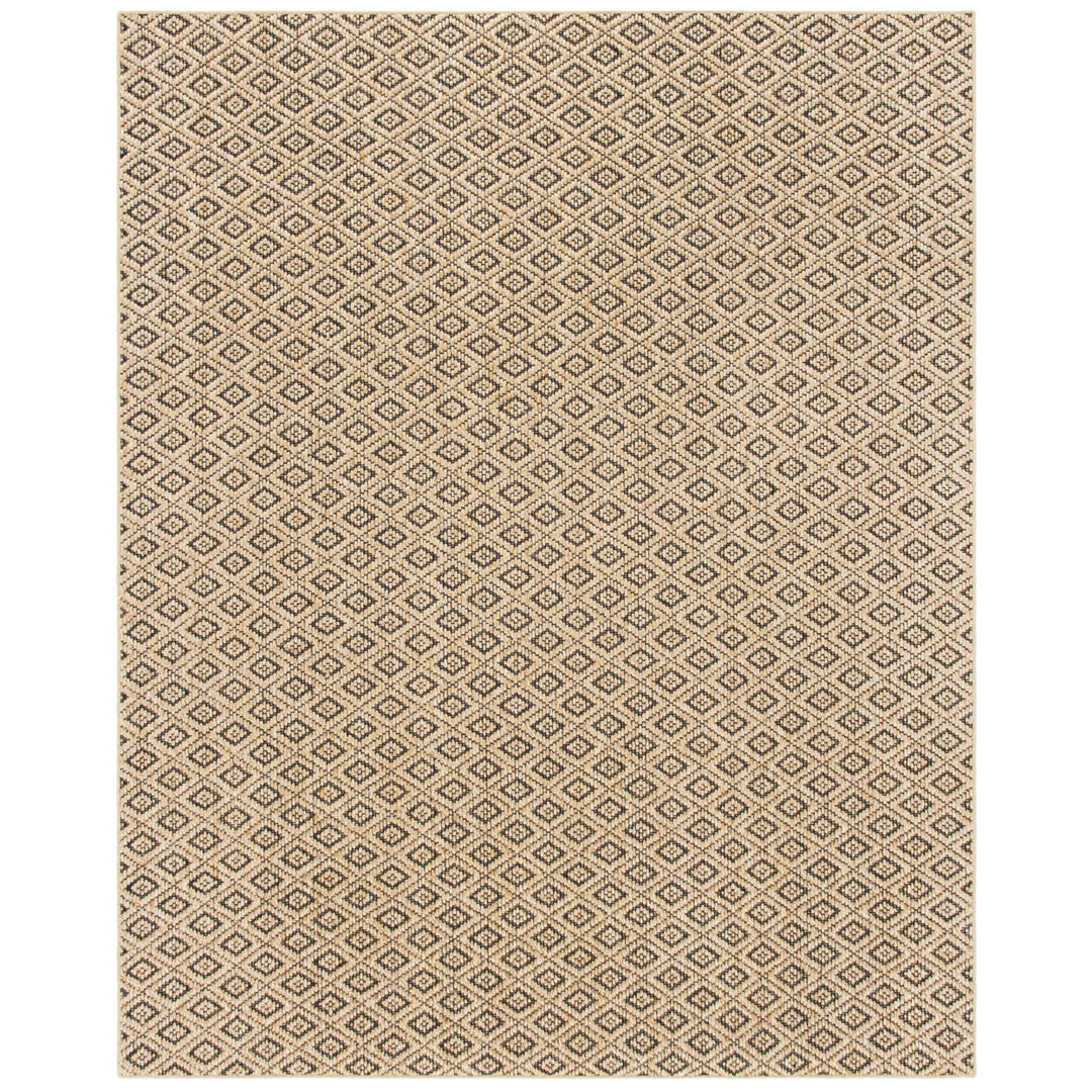 SAFAVIEH Palm Beach PAB411B Natural / Black Rug Image 1