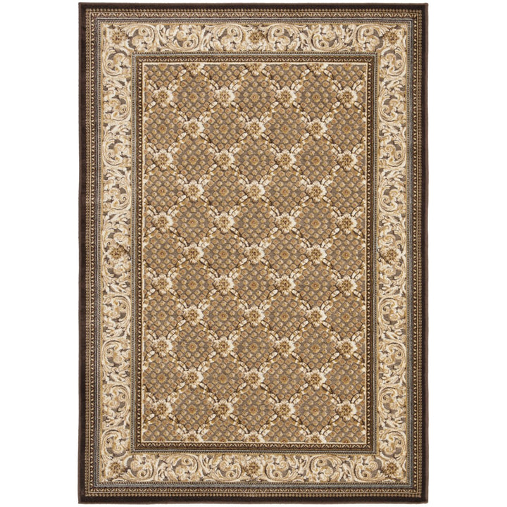 SAFAVIEH Paradise Collection PAR04-303 Dark Brown Rug Image 1