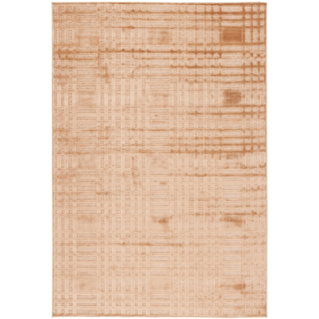 SAFAVIEH Paradise Collection PAR160-1660 Taupe / Taupe Rug Image 1