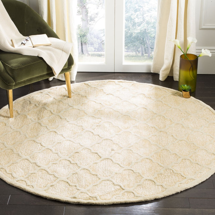 SAFAVIEH Precious Collection PRE152B Handmade Beige Rug Image 2