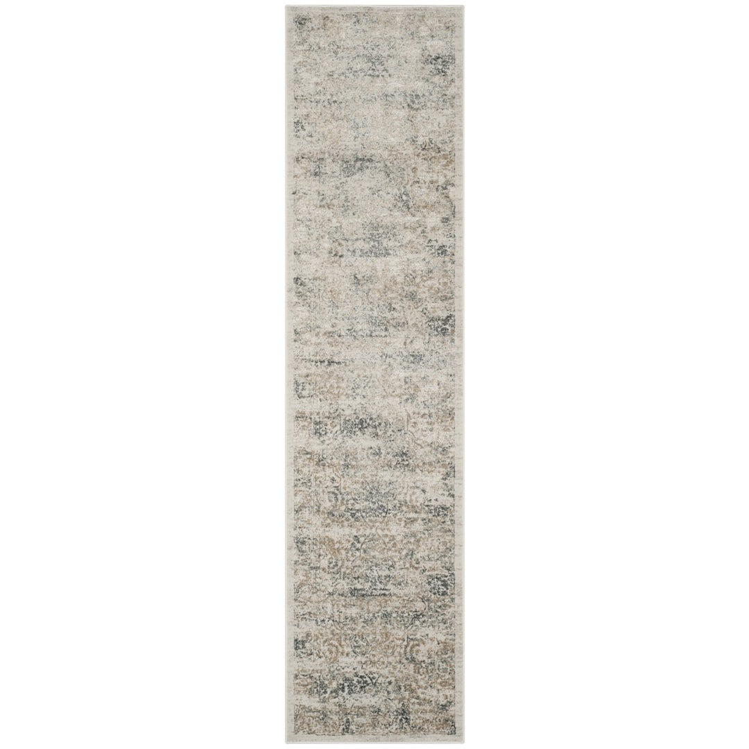 SAFAVIEH Princeton PRN711S Silver / Anthracite Rug Image 5