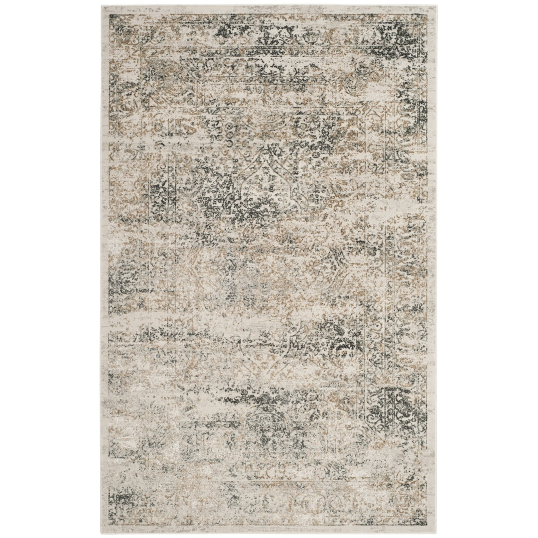 SAFAVIEH Princeton PRN711S Silver / Anthracite Rug Image 6