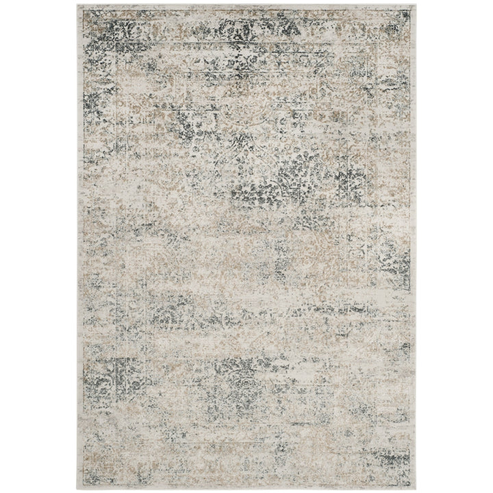 SAFAVIEH Princeton PRN711S Silver / Anthracite Rug Image 1