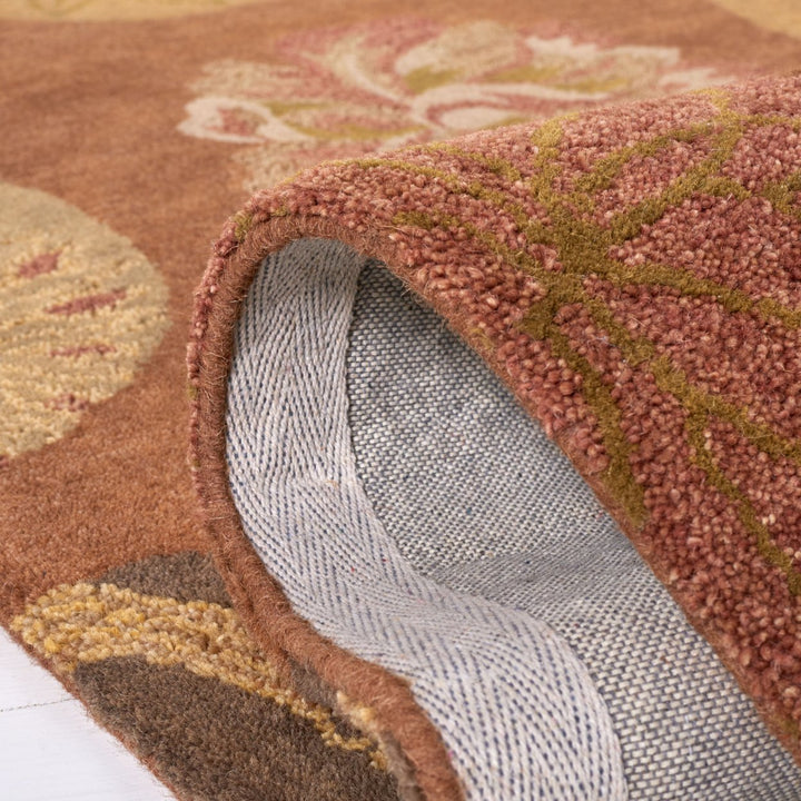 SAFAVIEH Rodeo Drive RD954A Light Brown / Multi Rug Image 7