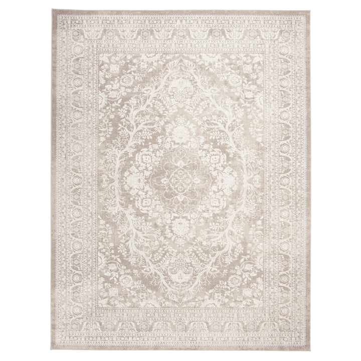 SAFAVIEH Reflection Collection RFT668A Beige / Cream Rug Image 1