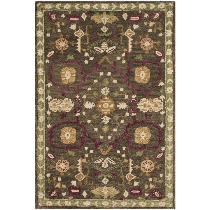 SAFAVIEH Roslyn ROS535A Handmade Sage / Ivory Rug Image 2