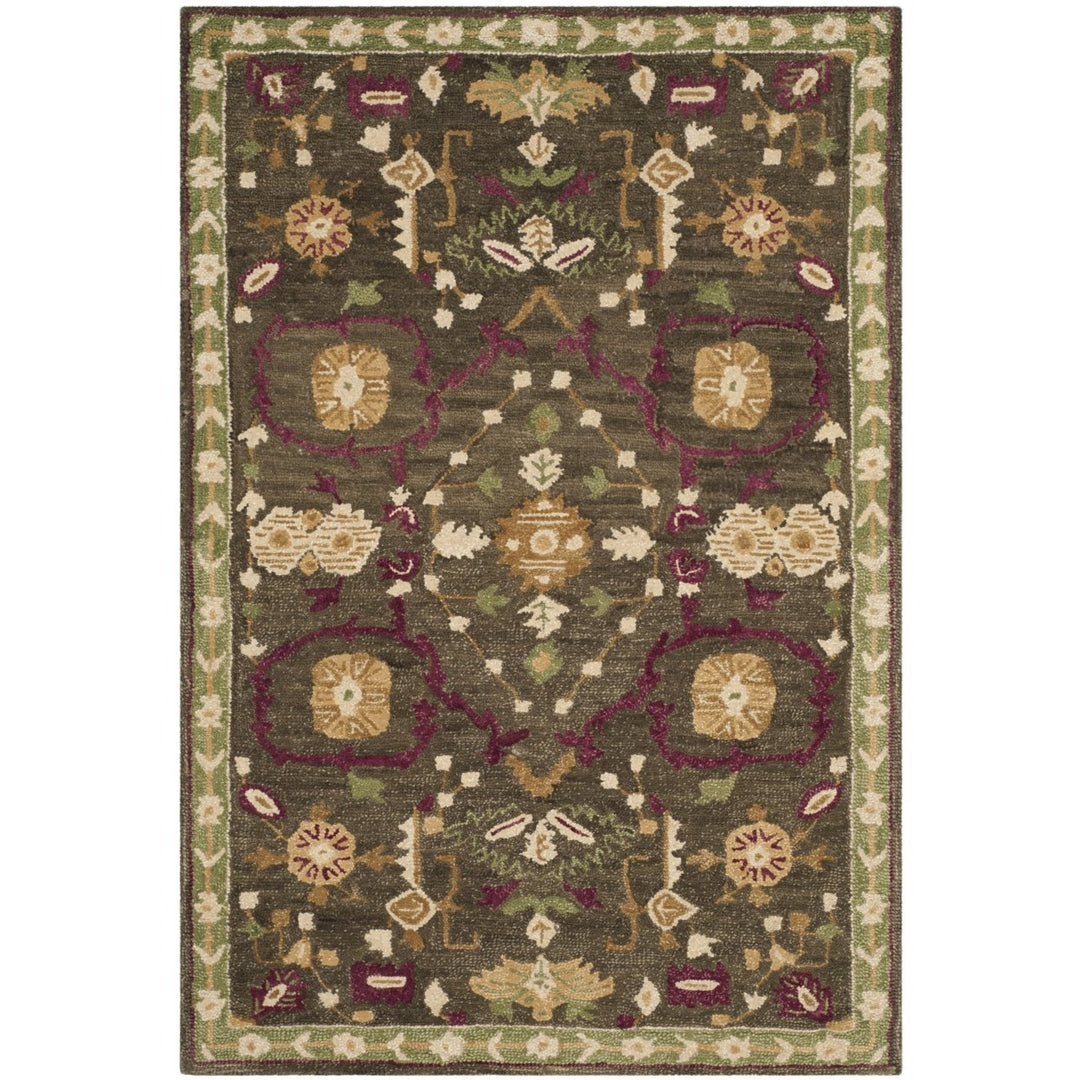 SAFAVIEH Roslyn ROS535A Handmade Sage / Ivory Rug Image 1