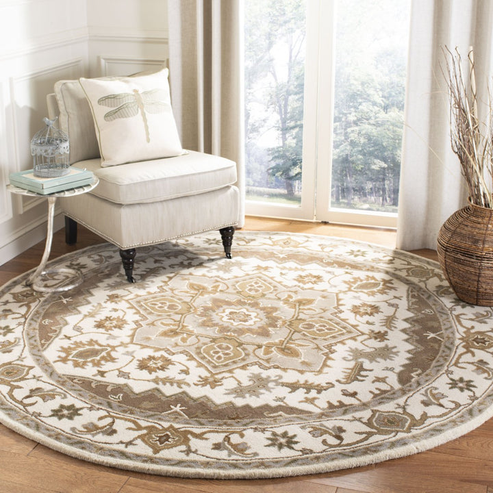 SAFAVIEH Royalty ROY700B Handmade Beige / Sage Rug Image 2