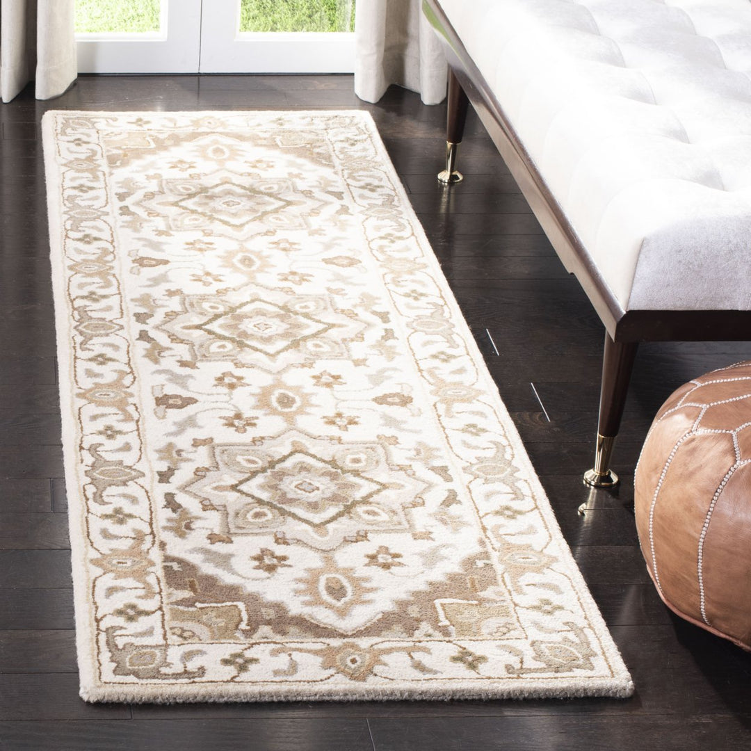 SAFAVIEH Royalty ROY700B Handmade Beige / Sage Rug Image 3