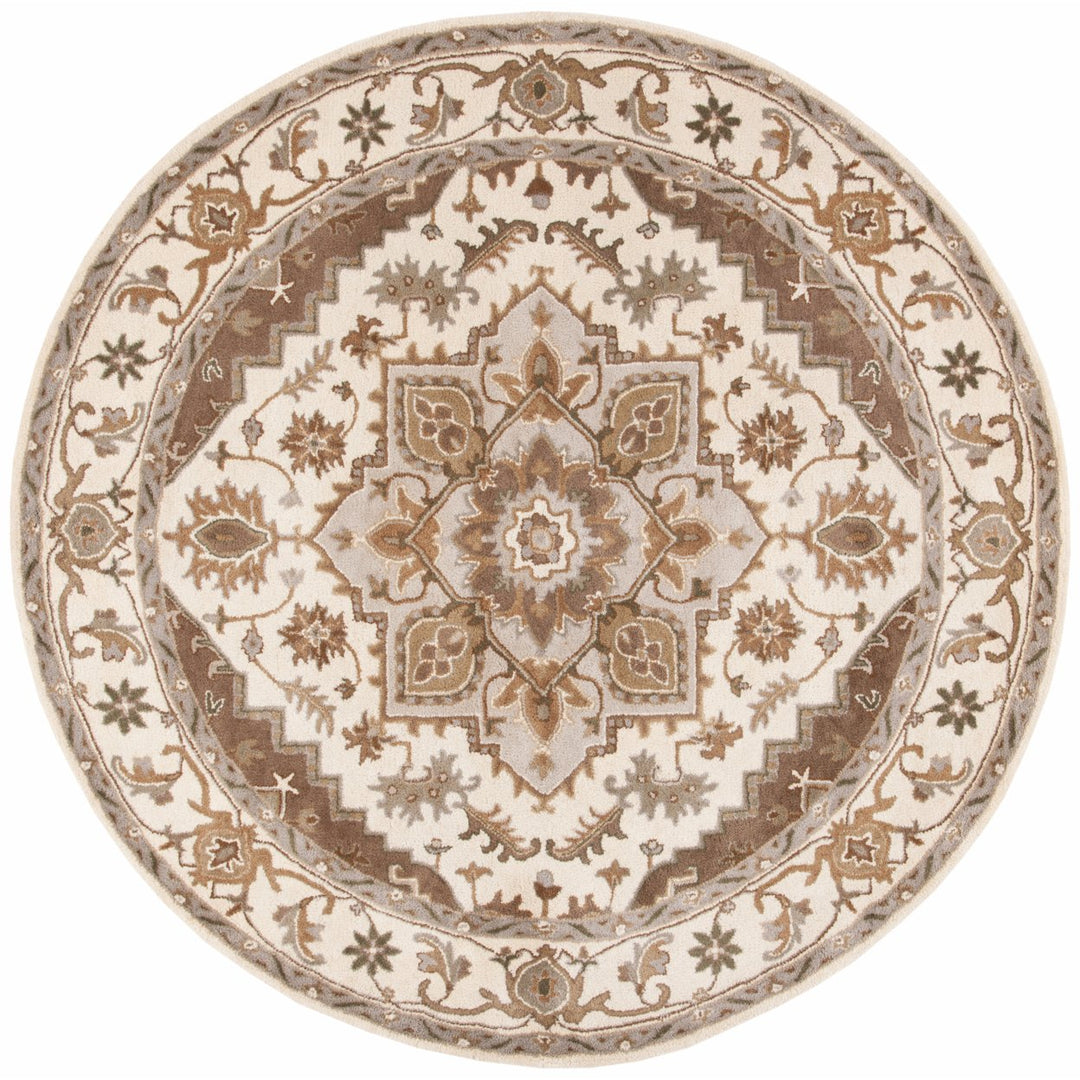 SAFAVIEH Royalty ROY700B Handmade Beige / Sage Rug Image 4